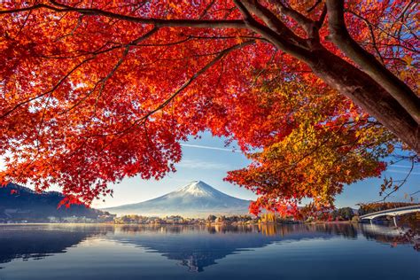 best time to visit japan in autumn